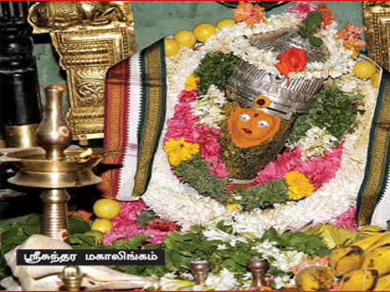 சதுரகிரிமலையில் பக்தர்கள் சுவாமி தரிசனம்….