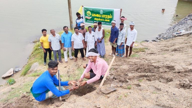 காரியாப்பட்டியில் பனைமரம் நடும் திட்டம் ! பசுமை பாரதம்!!