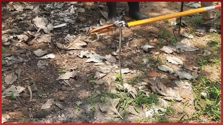 எம்எல்ஏ ஆபிசில் ஸ்பெஷல் கெஸ்ட் ‘ஸ்னேக்’