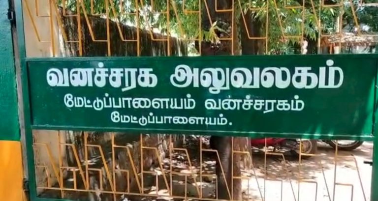 பட்டாசு வெடித்து பாகுபலி யானையை  தாக்கிய விவசாயி
