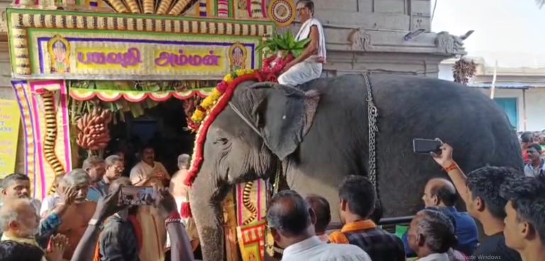 குமரி பகவதி அம்மன் கோவில் தேர்த்திருவிழா