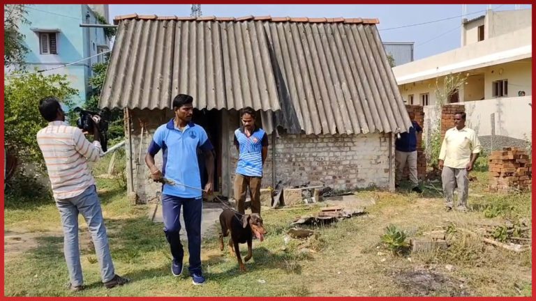 மகன்கள் கொடுமை – தாய் துடிதுடித்து பலி