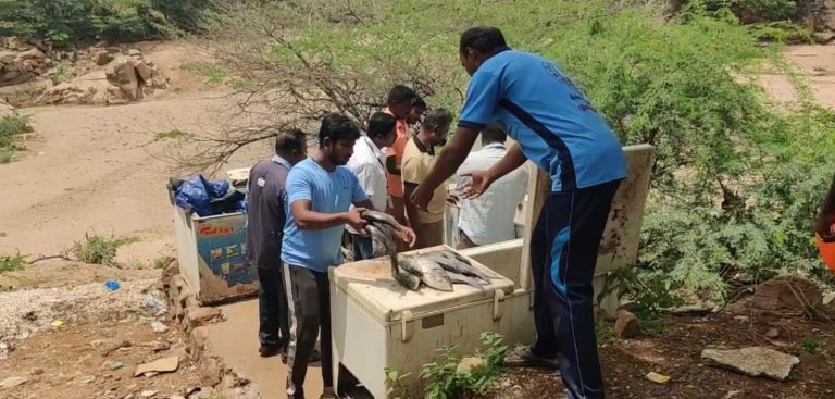 ஒகேனக்கல் சுற்றுலாத் தலத்தில் அழுகிய மீன்கள்