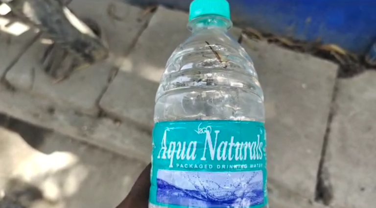 தண்ணீர் புட்டியில் கரப்பான் பூச்சி