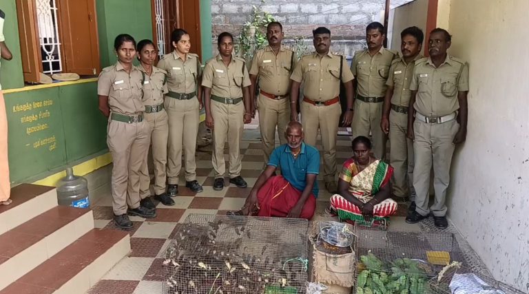 வனப்பறவைகளை சிறைபிடித்த தம்பதி