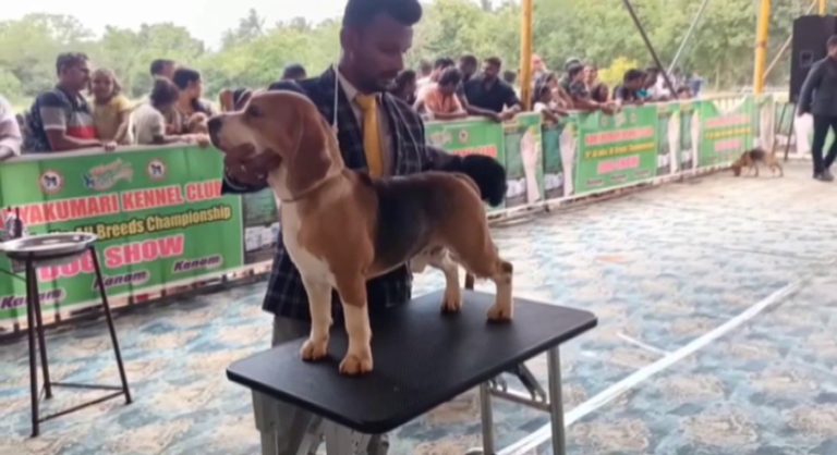 நாகர்கோவிலில் நாய் கண்காட்சி